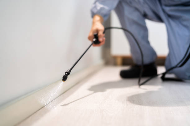 Licensed Fumigation Services service in Smith County County, TX - Nex Pest Control